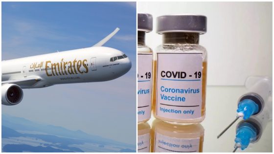 Great News: UAE Residents Can Now Travel Using Their Emirates ID As Proof of Vaccine and PCR