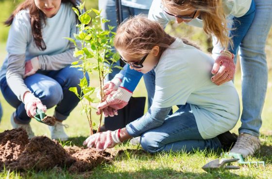 Join This Youth Volunteer Program in Sharjah From August 1-12!