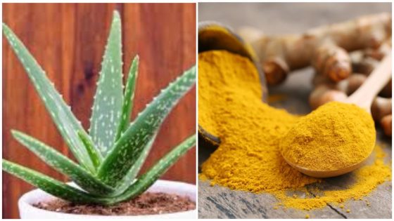 Here Are 5 Simple Ways to Boost Your Immune System This Summer