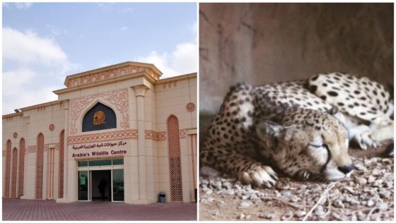 Witness the Beauty of Arabian Wildlife by Visiting This Place in Sharjah!
