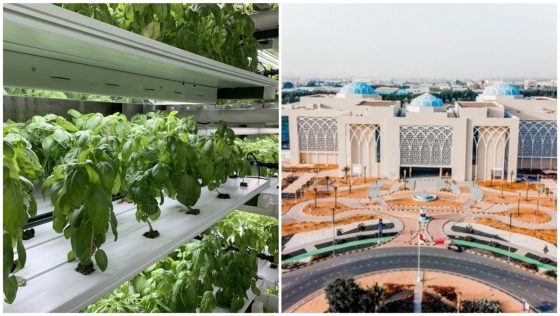 Sharjah Is Using Advanced Technology to Increase Its Food Security