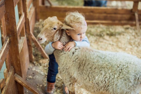 Having a Bad Day? Pet Some Adorable Animals at this Petting Zoo in Oasis Mall, Sharjah!