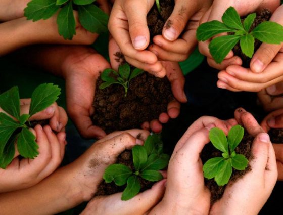 Sharjah Initiates ‘Climate Action Now’ to Mark the Upcoming National Environment Day!