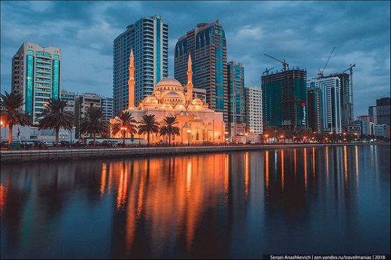 Sharjah is Awarded Once Again As Friendly City for People of Determination
