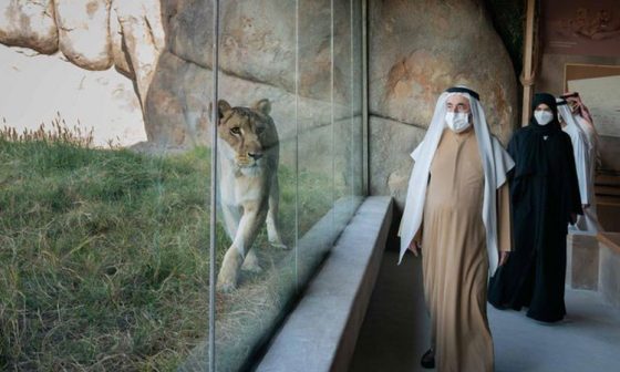 Here’s Everything You Need to Know About Sharjah Safari’s New Attractions, Tickets & More!